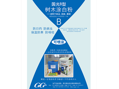 國(guó)光糊涂20千克B